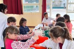 bricolagesP42026IMG-20260326-WA0011