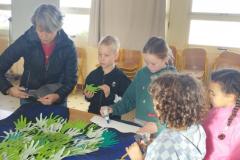 rencontreSASSL12202541