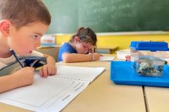 cldecouvertePiriacSA202627-