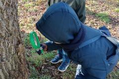 ecoledehorsSASLP202512