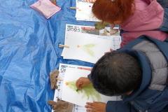 ecoledehorsSASLP202513