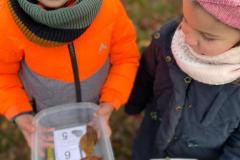 ecoledehorsSASLP202519