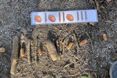 ecoledehorsSASLP20252