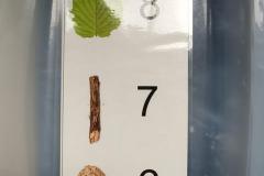 ecoledehorsSASLP20254