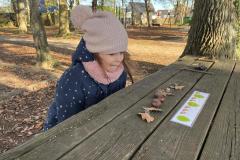 ecoledehorsSASLP20256