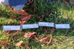 ecoledehorsSASLP20258