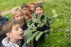 ecoledehorsP42026007.IMG20260306WA0013