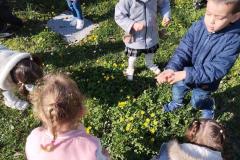 ecoledehorsP42026IMG_20260302_113559-scaled