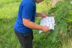 ecoledehorsSAp0520261-