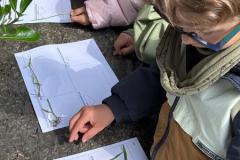 ecoledehorsSAp05202610-