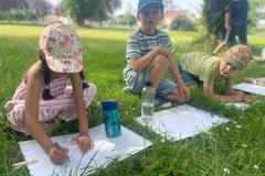 ecoledehorsSAp0520262-