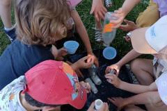 ecoledehorsSAp0520266-