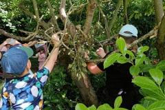 ecoledehorsSAp0520268-