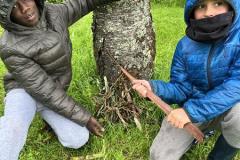 ecoledehorsSL20262-