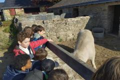 laducheraiscampbon1