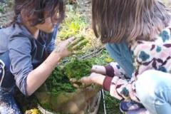 laducheraiscampbon13