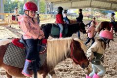 laducheraiscampbon20