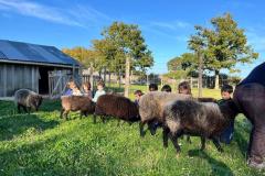 laducheraiscampbon23