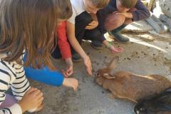 laducheraiscampbon3