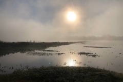 IMG_6819