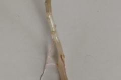 f5