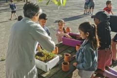 marchanderiejardinageSA20265