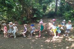 oudonpsmsSA20262-