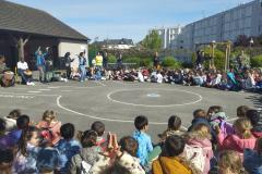 bolderizpaques202611