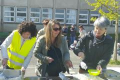 bolderizpaques202616