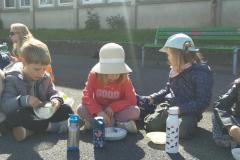 bolderizpaques202617