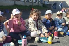 bolderizpaques202618