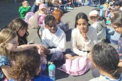 bolderizpaques202620