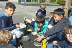 bolderizpaques202625