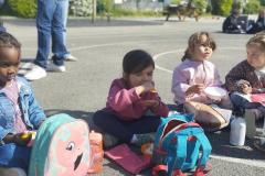 bolderizpaques202627