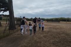 IMG_20250626_105734