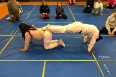 sportP220252