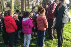 sporttransitionce120252