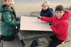 sporttransitionce1202520