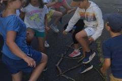 sportnatureSL20265-