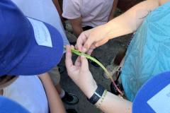terrabotanicaCMSL202618