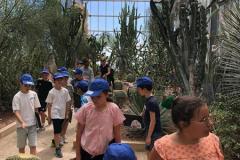 terrabotanicaCMSL20268