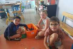 IMG-20260701-WA0047