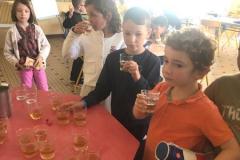 vignes15
