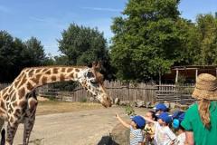 zooSL20261