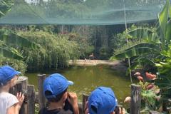 zooSL20263