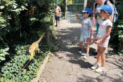 zooSL20266