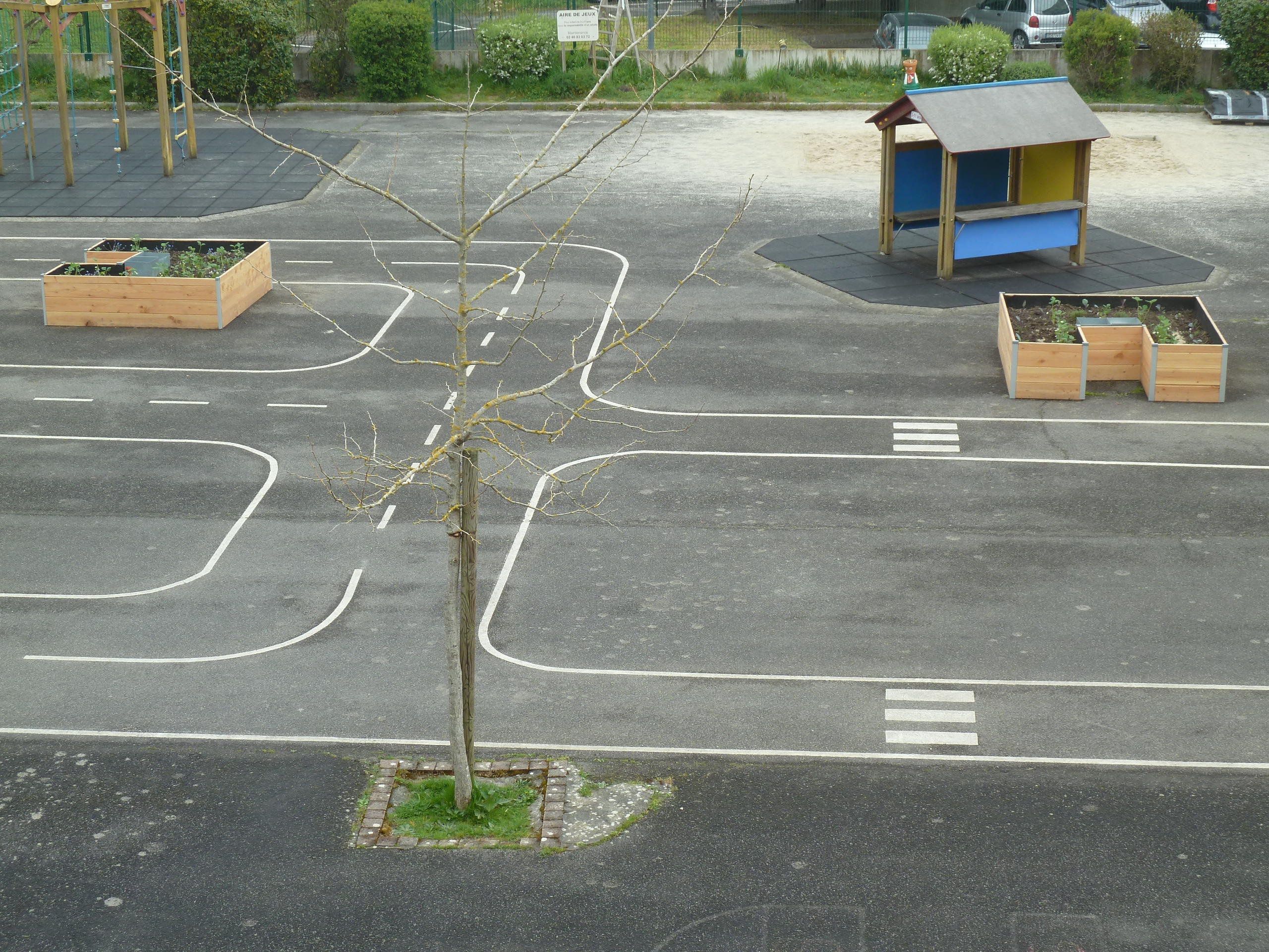 Du jardinage dans la cour