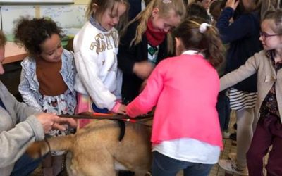 Des chiens guides d’aveugles à l’école