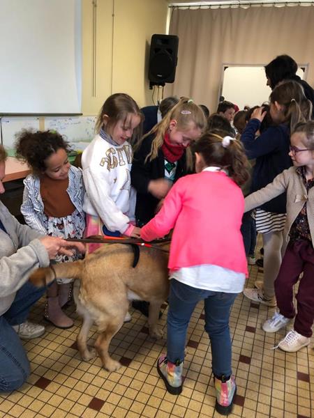 Des chiens guides d’aveugles à l’école