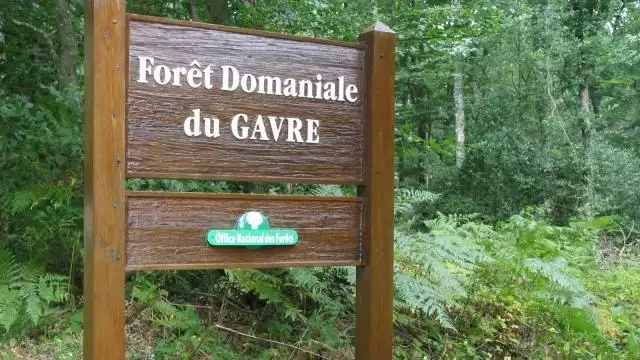 Février en TPS-PS-MS à St Louis